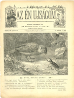 Az én újságom, 1897