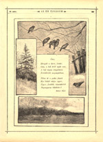 Az én újságom, 1892/43