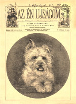 Az én újságom, 1893/11